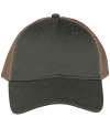 NS035 Native Spirit 5 Panel Trucker Cap organic khaki / Beige colour image